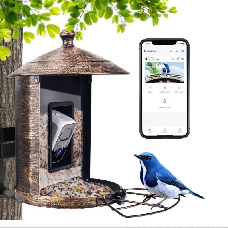 Gardening Tools Definition - Alimentador de pássaros inteligente AI com