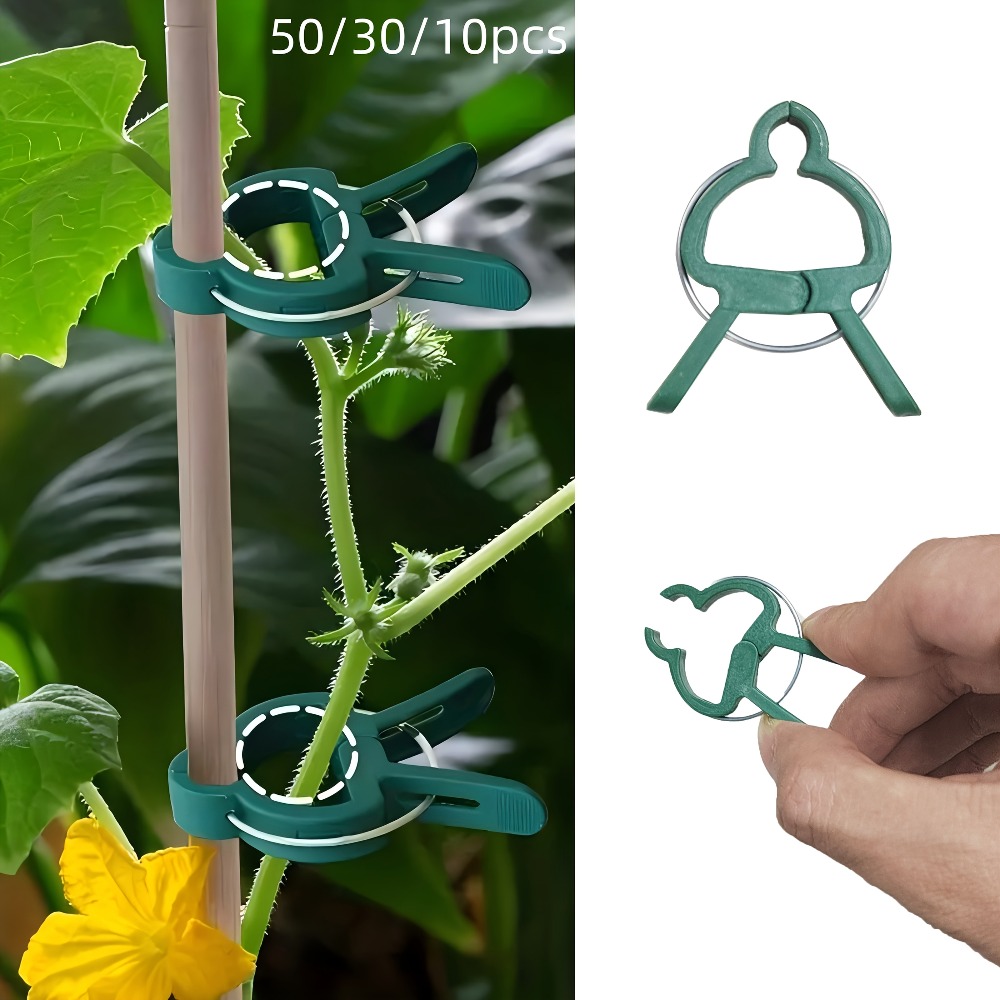 Gardening Tools Essential - 10/30/50 peças de Clipes Ajustáveis para