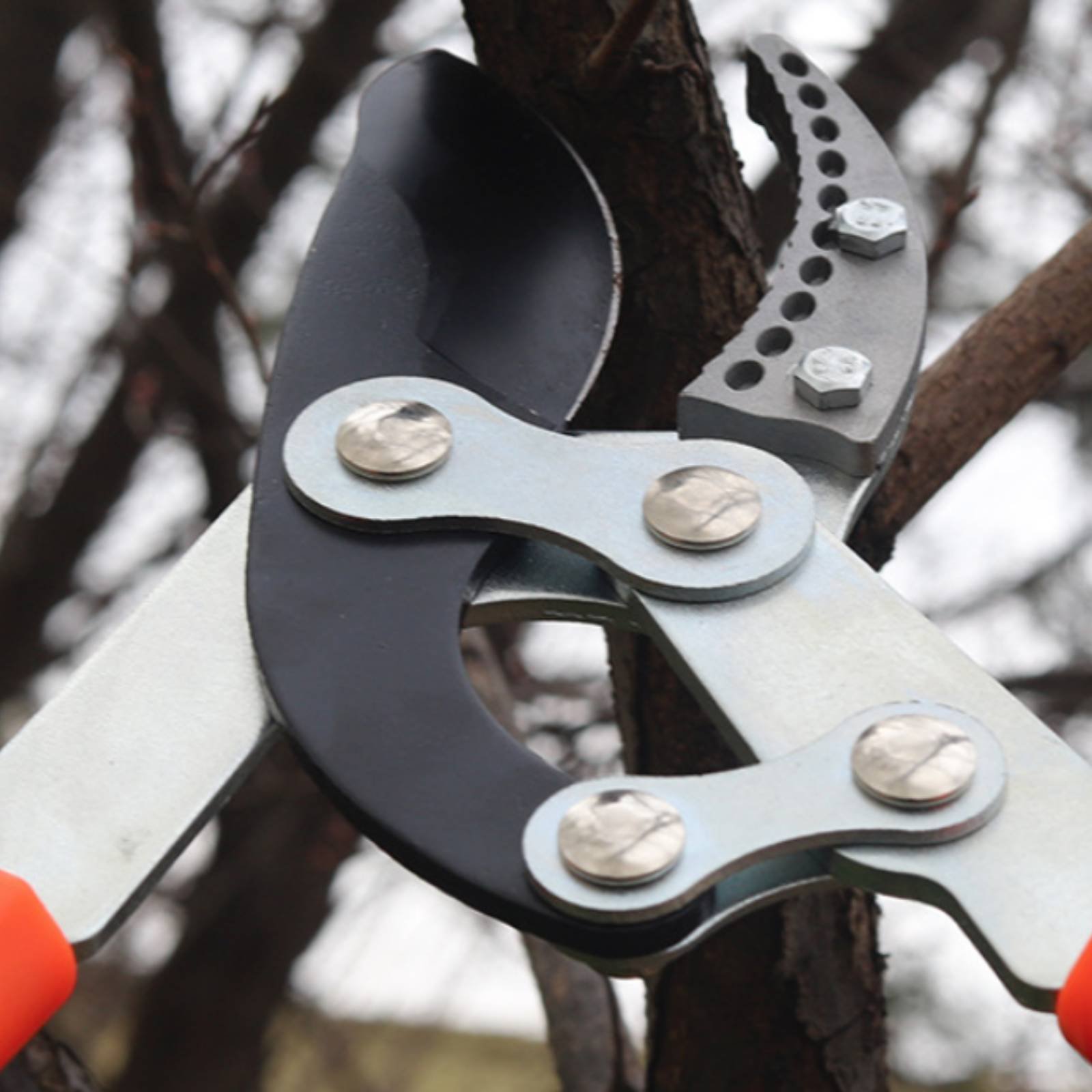 Gardening Tools In - Podadores de Galhos Telescópicos com Lâmina