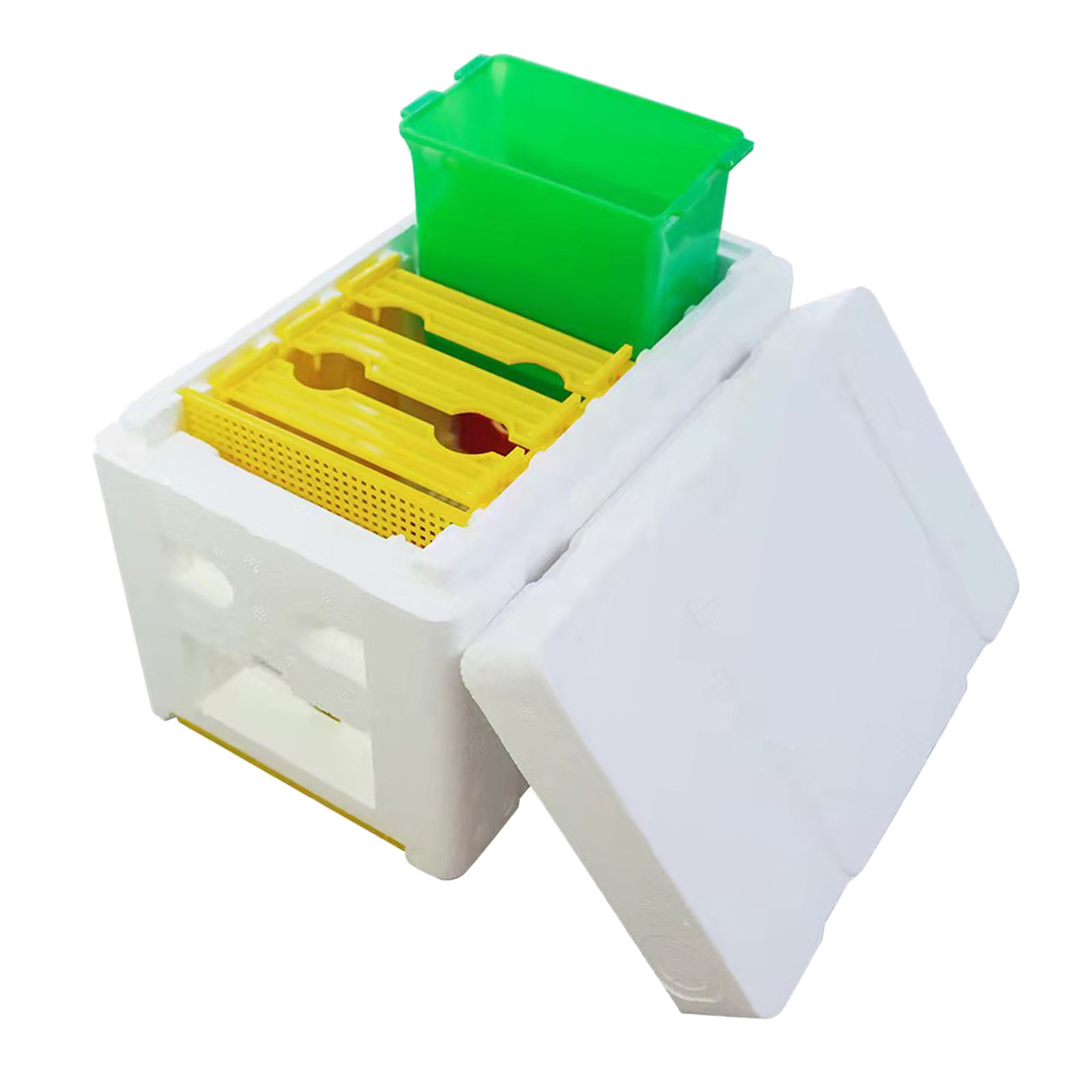 Kit de criação de apicultura,  - Gardening Tools Essential avaliação e preço