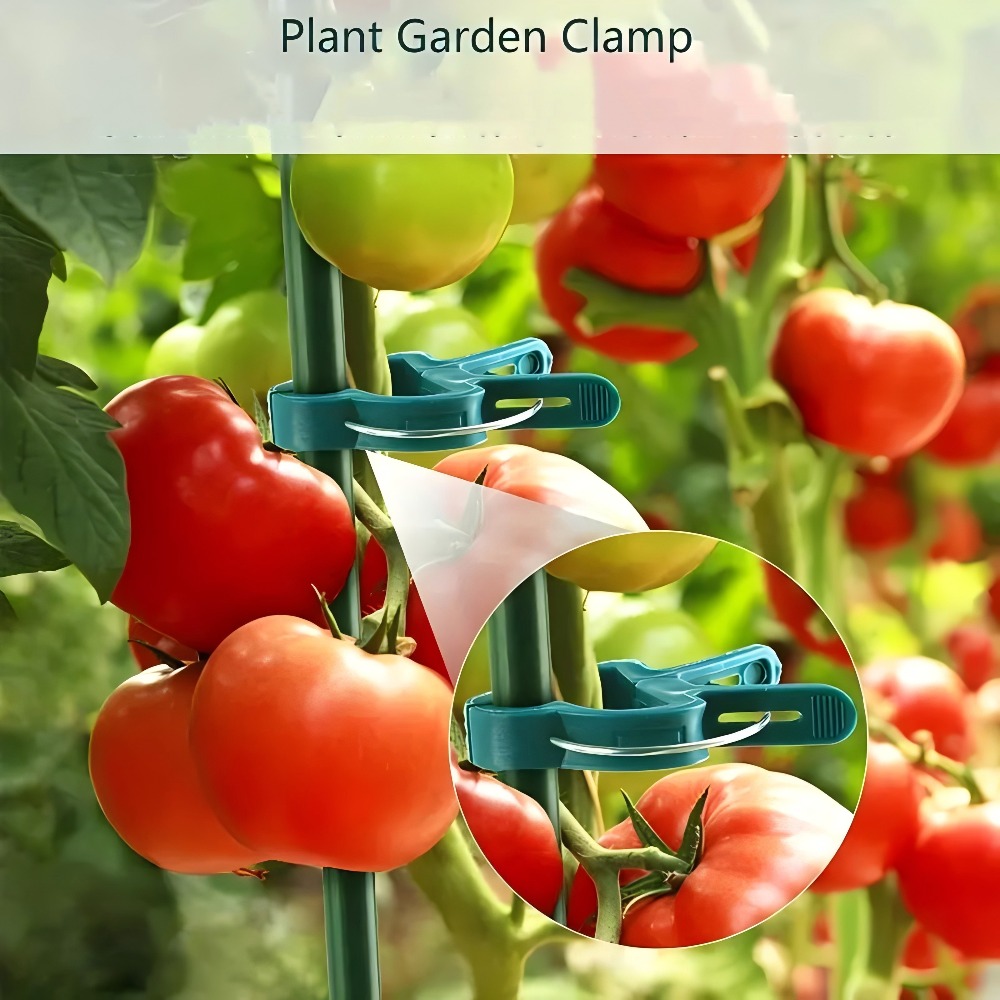 10/30/50 peças de Clipes Ajust - Gardening Tools Essential avaliação e preço